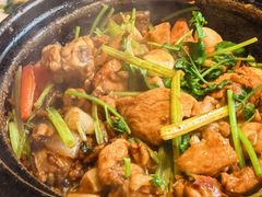沙姜啫鸡-煲煲好(朝阳门店)