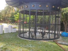 -三亚亚龙湾天域度假酒店