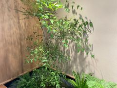 -奈雪茶院·茶室茶馆(广州粤海天地店)