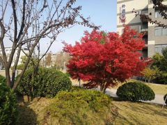 -安徽大学(龙河校区)