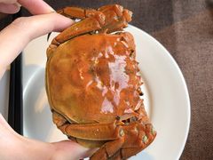 -樽宴酒楼·地道川菜·品质宴请