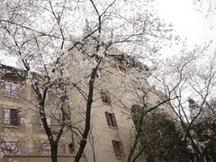 -武汉大学-樱园