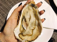 -小火花·干式熟成牛排馆Spark SteakHouse(剑桥郡店)