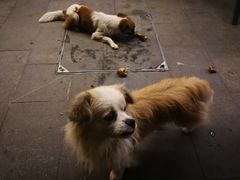 -万春卤菜(天乡后街步行街店)