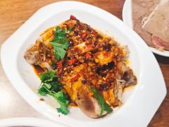 椒麻鸡-丝路伊兰·兰州牛肉面(牛街总店)