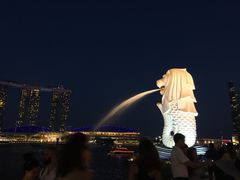 -新加坡雅庭假日酒店