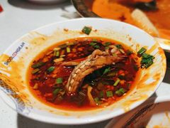 -小龙坎火锅(总店)