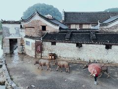 -上甘棠村