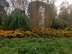 -白鹭湾湿地公园