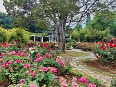 -国家植物园南园