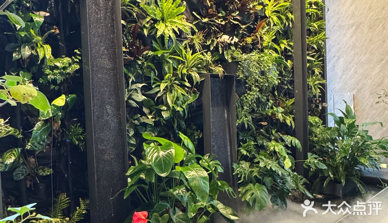 闯入重庆天街的秘密花园！新中式茶饮也太仙了吧
