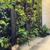 闯入重庆天街的秘密花园！新中式茶饮也太仙了吧