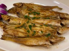 干煎沙尖鱼-益利大酒楼(井岸店)