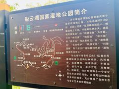 -重庆彩云湖湿地公园