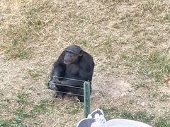 -石家庄市动物园