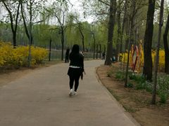 -廊坊市自然公园