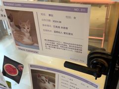 -Punchline Coffee&Roaster(同济大学店)