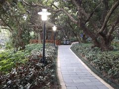 -月亮湾公园
