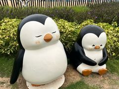 -大梅沙海滨公园