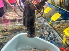 -船奇蒸汽海鲜·闽菜(八市海鲜总店)