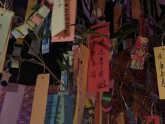 -地球美食剧场
