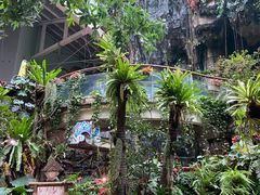 -正佳雨林生态植物园