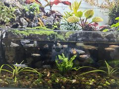 -木子陶艺(春熙路店)