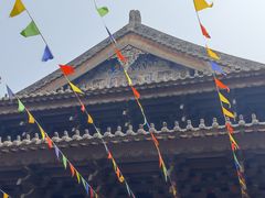 -华林禅寺