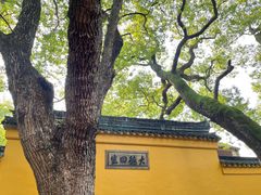 -西园戒幢律寺