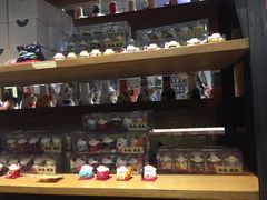 -猫咪博物馆(顶澳仔猫街店)