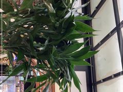 -名善山珍·野生菌汤锅(文殊院店)