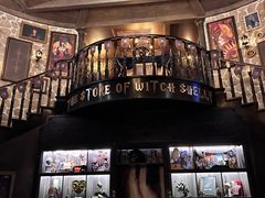 -雪灵魔法世界SHELLY’S TAROT(大良桂畔里店)