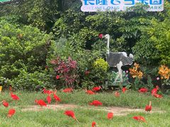 -广州长隆飞鸟乐园