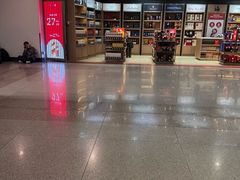 -胡志明新山一国际机场