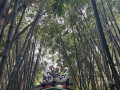 -广州长隆野生动物世界