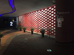 -万达影城(汉街万达广场IMAX店)