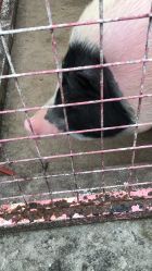 -金庭庄园酒店彩虹厅