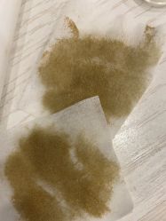 点击看大图 -skin79皮肤管理中心