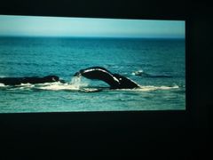 -中影国际影城(大唐西市4K临境音店)