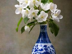 -金鼎轩(安贞里店)