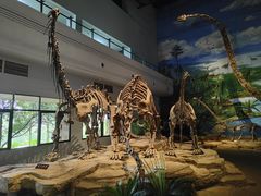 -自贡恐龙博物馆