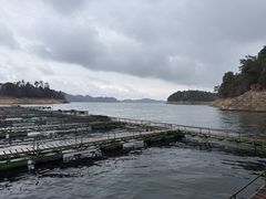 -千岛湖东南湖区
