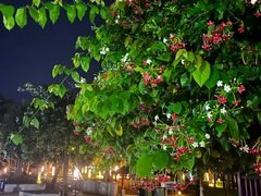 -三亚海棠湾万丽度假酒店