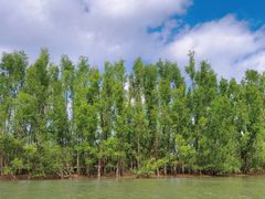 -东寨港红树林旅游区