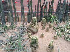 -郑州中国绿化博览园