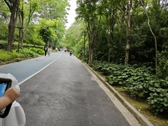 -吴淞炮台湾湿地森林公园烧烤区