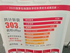 -菠萝国际教育专注Alevel·IGCSE·IB·AP·托福雅思培训辅导(静安校区)