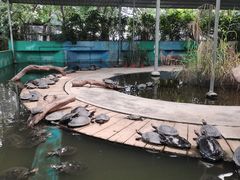 -广州长隆飞鸟乐园