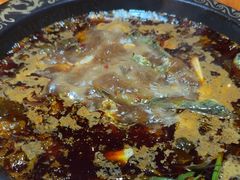 -三道苗苗鱼·美蛙黄辣丁(八里店)