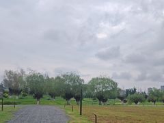 -汉长安城未央宫国家考古遗址公园